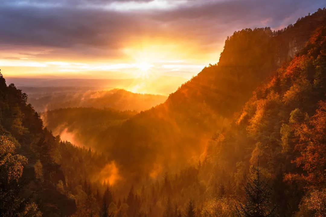 How to Become an Expert in Anything - The Power Of One Percent