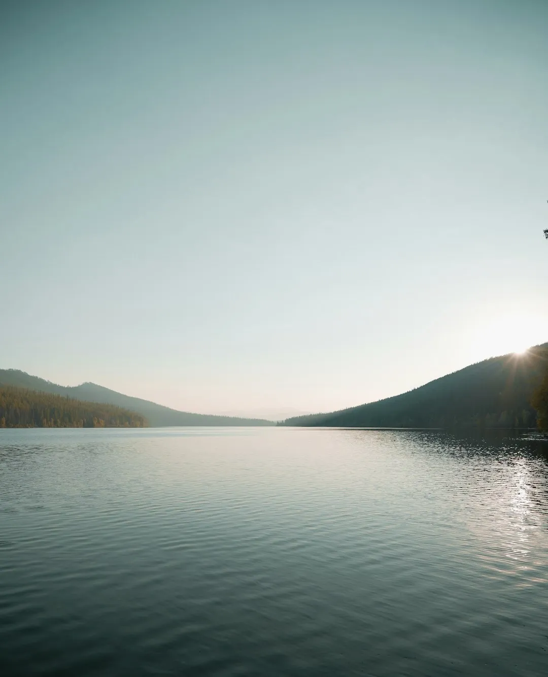 The Real Enemy Isn't Laziness — It's Distraction | Fudōshin
