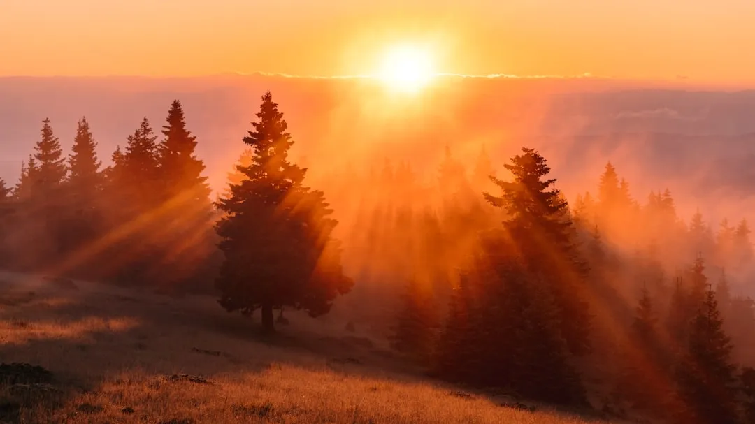 Wake Up Early, Start Your Day Right