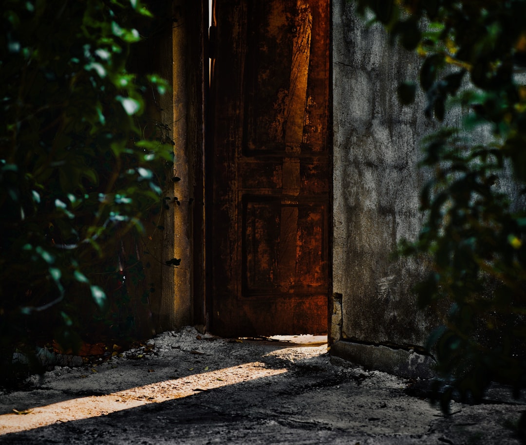 An open door with sunlight streaming through — choosing the path forward.