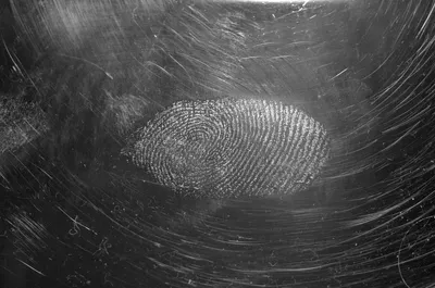 Sweat fingerprint on textured surface — Photo by Immo Wegmann on Unsplash