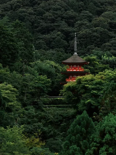 Japanese pagoda in forest - Photo by Weichao Deng on Unsplash