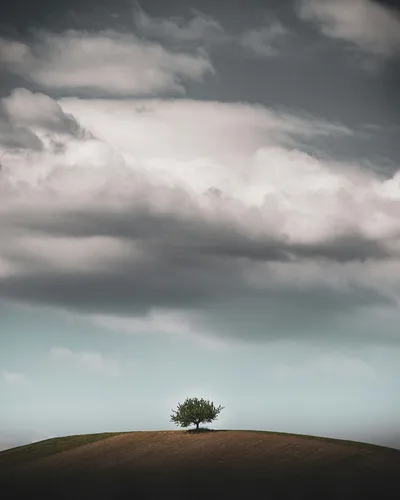 Lone tree standing against a storm — Photo by Elias Maurer on Unsplash