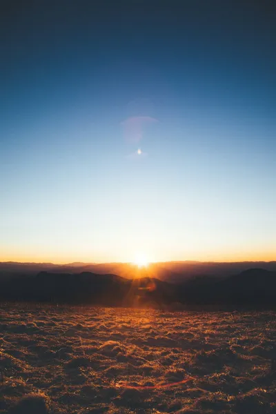 A cold winter morning sunrise — Photo by Wes Hicks on Unsplash