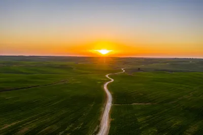 Path leading toward a sunrise — Photo by Shai Pal on Unsplash