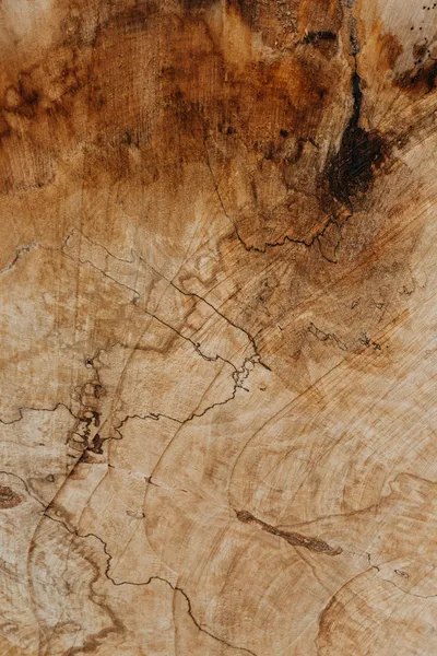 Wood grain texture — Photo by Marina Reich on Unsplash