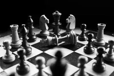 Chess pieces on board — Photo by Felix Mittermeier on Unsplash